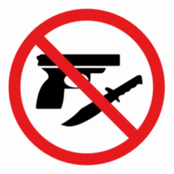 Hospital Weapons Detection Logo